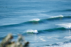 The Surf Motel | Chalet Accomodation | Umdloti Kwazulu-Natal